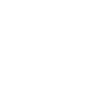 Search Icon